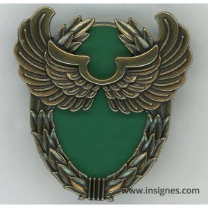 13° Régiment de Dragons Parachutistes RDP Brevet Formation de recherche aéroportée