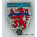 99° Régiment d'Infanterie (lion en relief)